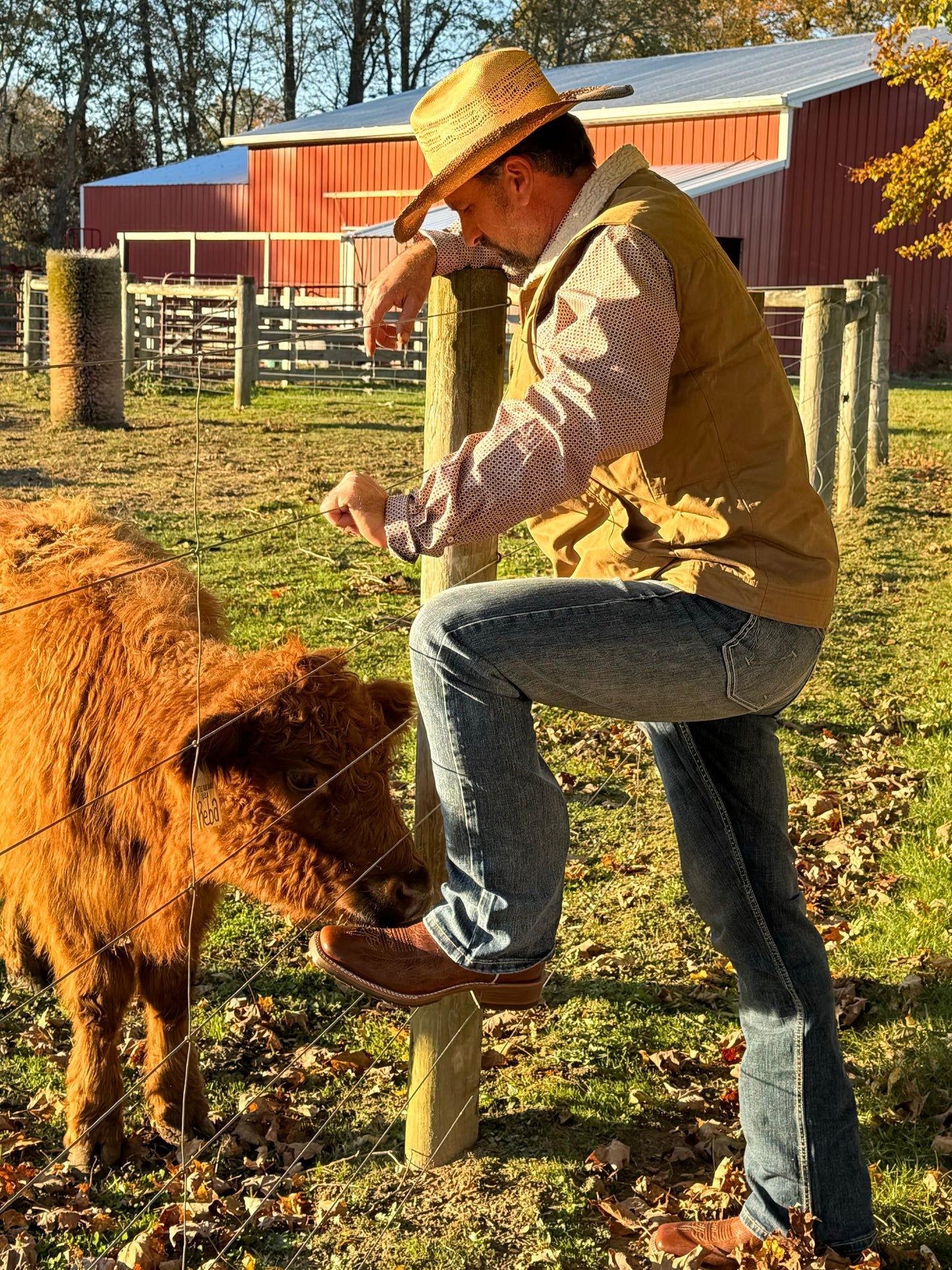 Grizzly Vest ~ 10028416