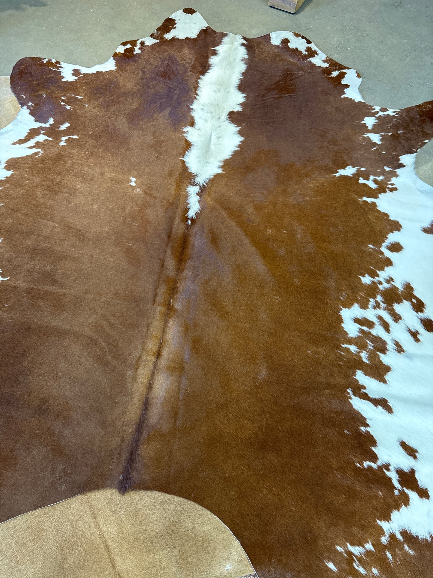 Genuine Cowhide Rugs