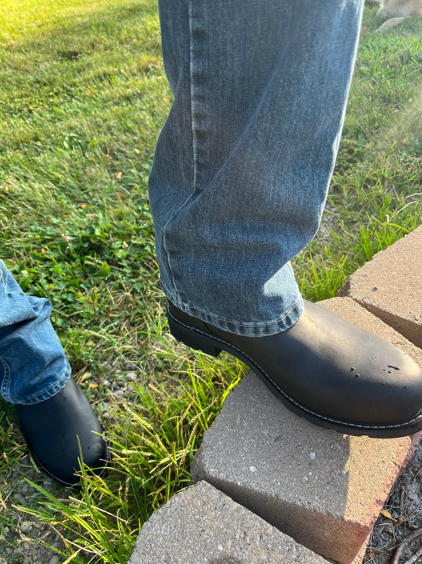 The Wexford ~ Blk Waterproof