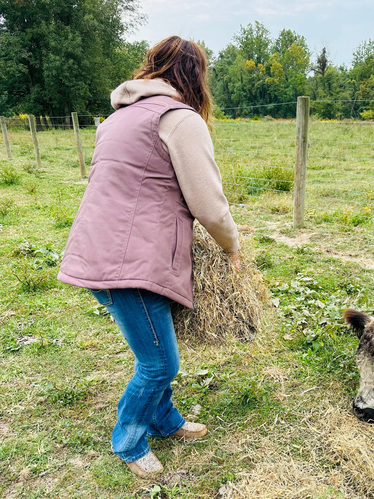 Peppercorn Vest ~ 10046561