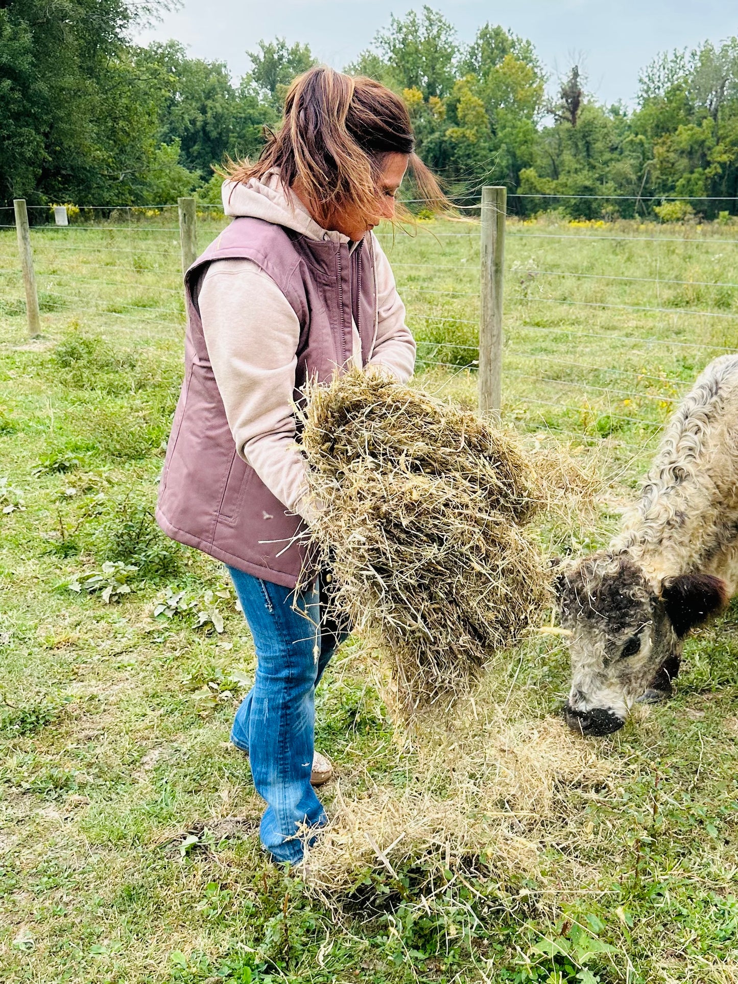 Peppercorn Vest ~ 10046561