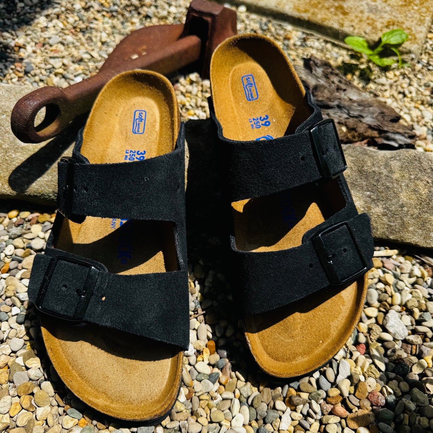 Arizona Blk Suede