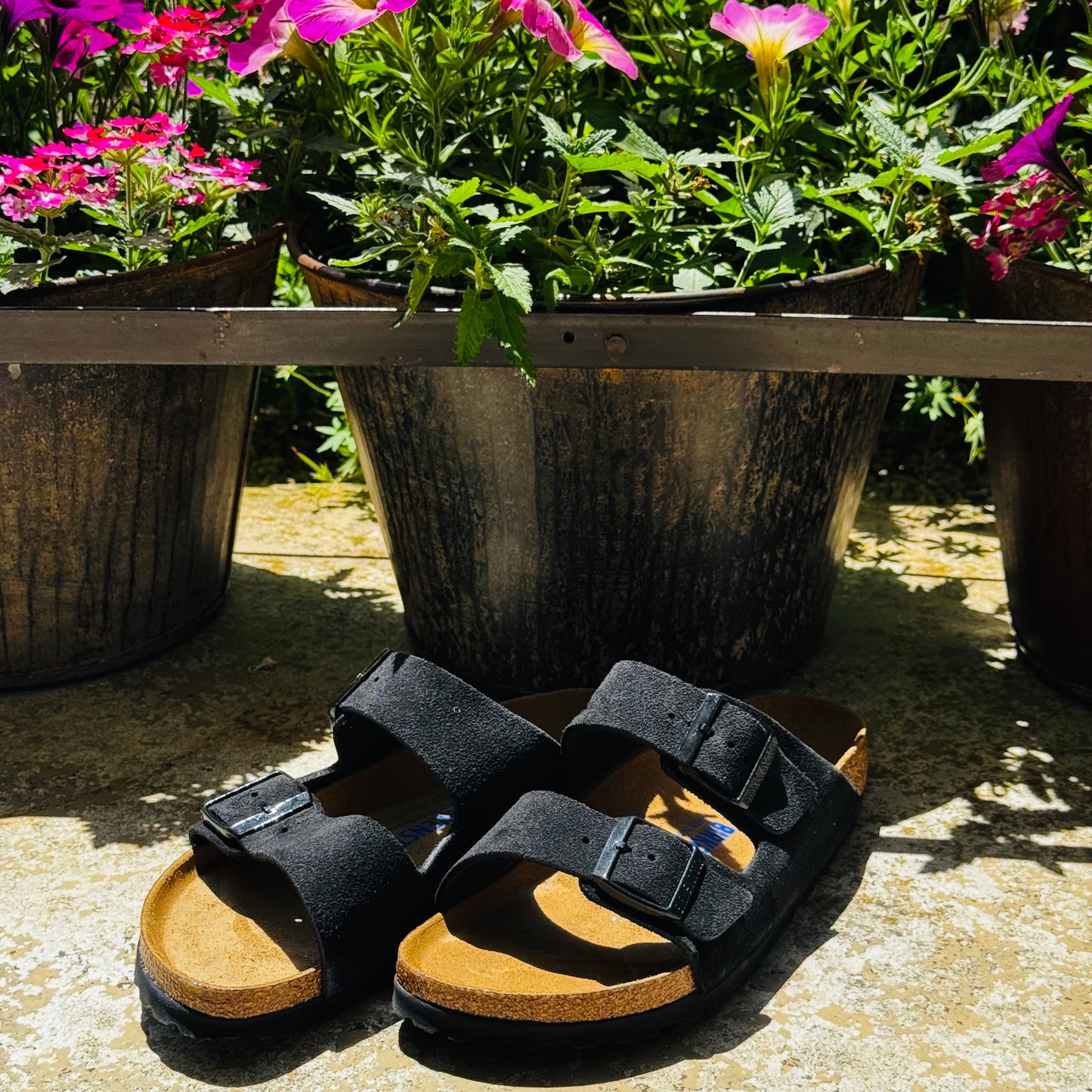 Arizona Blk Suede