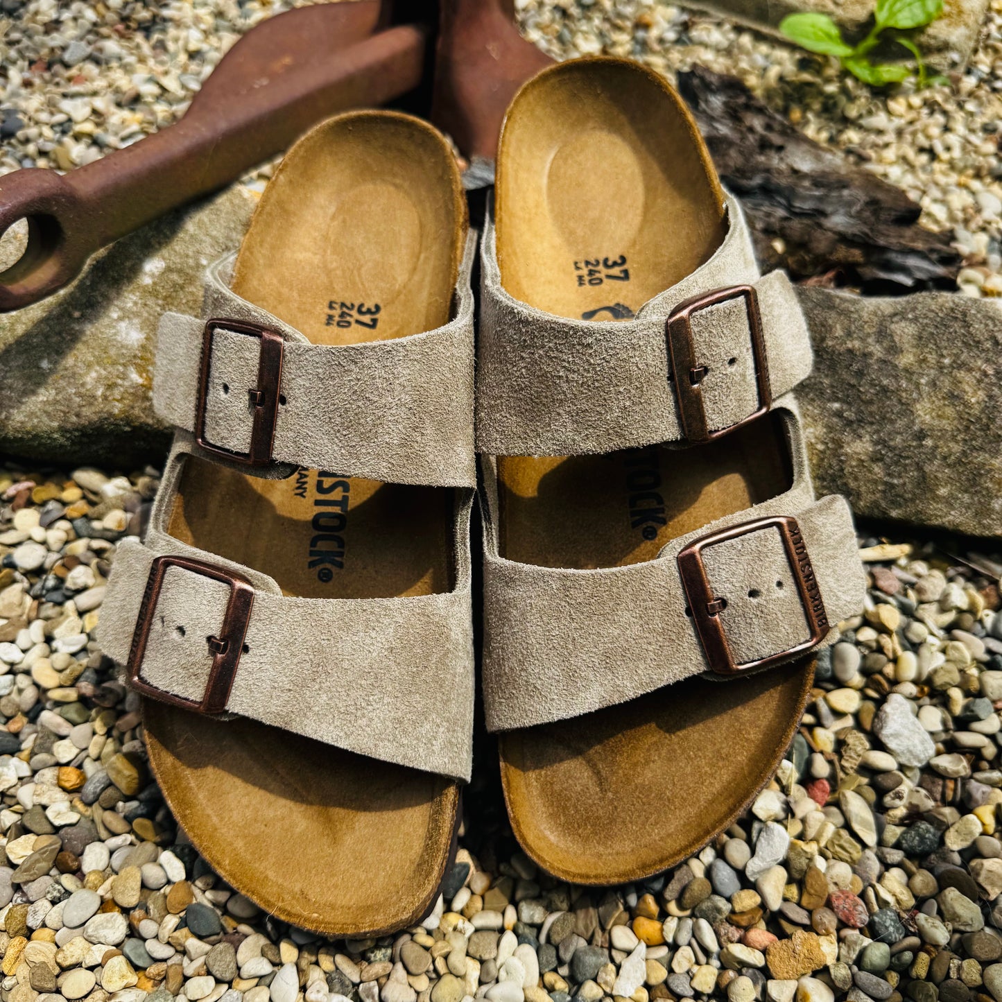 Arizona Taupe Birk