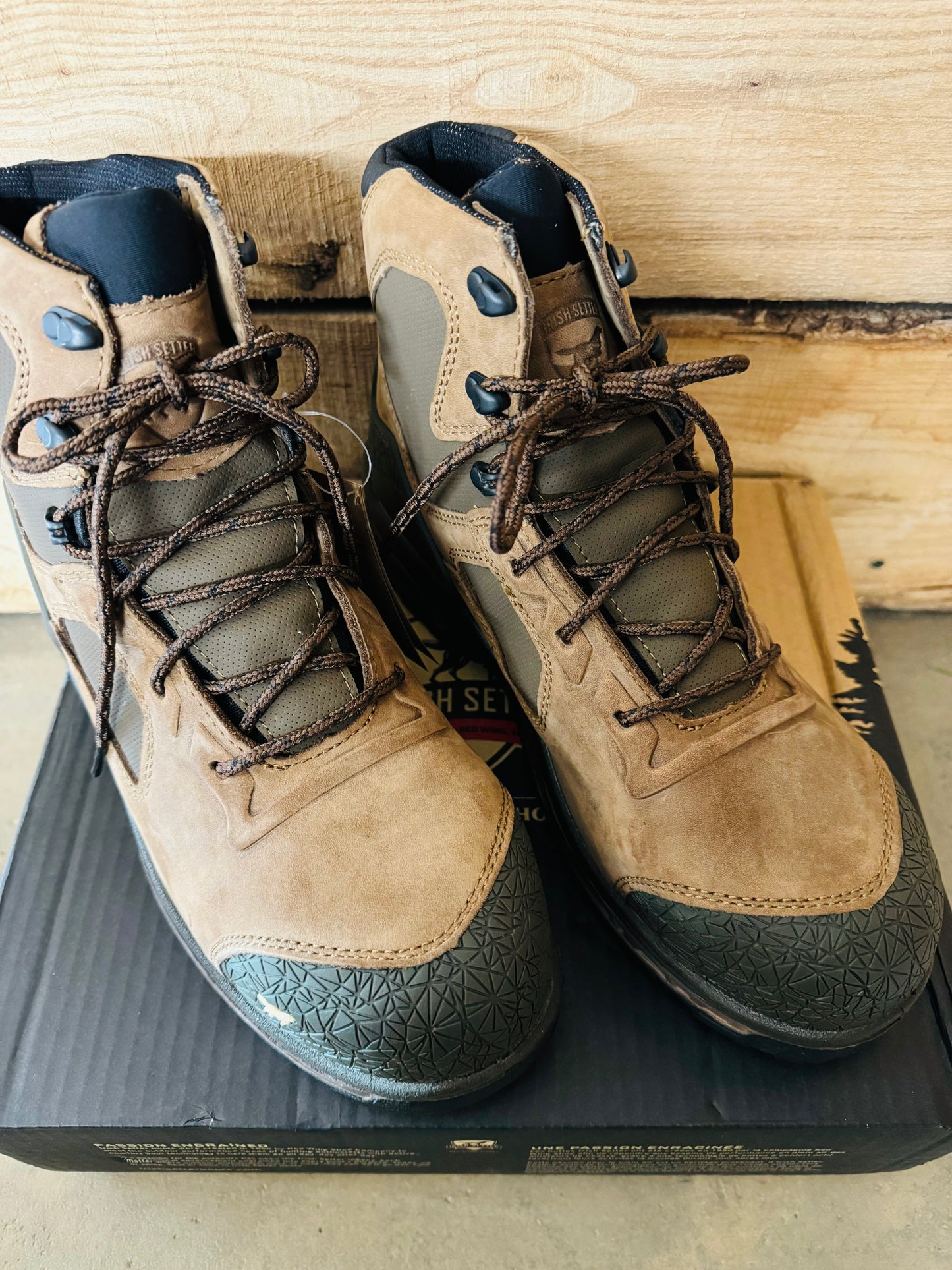 Irish setter 2025 2. lite