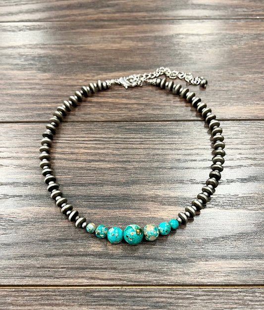 Navajo Lisa